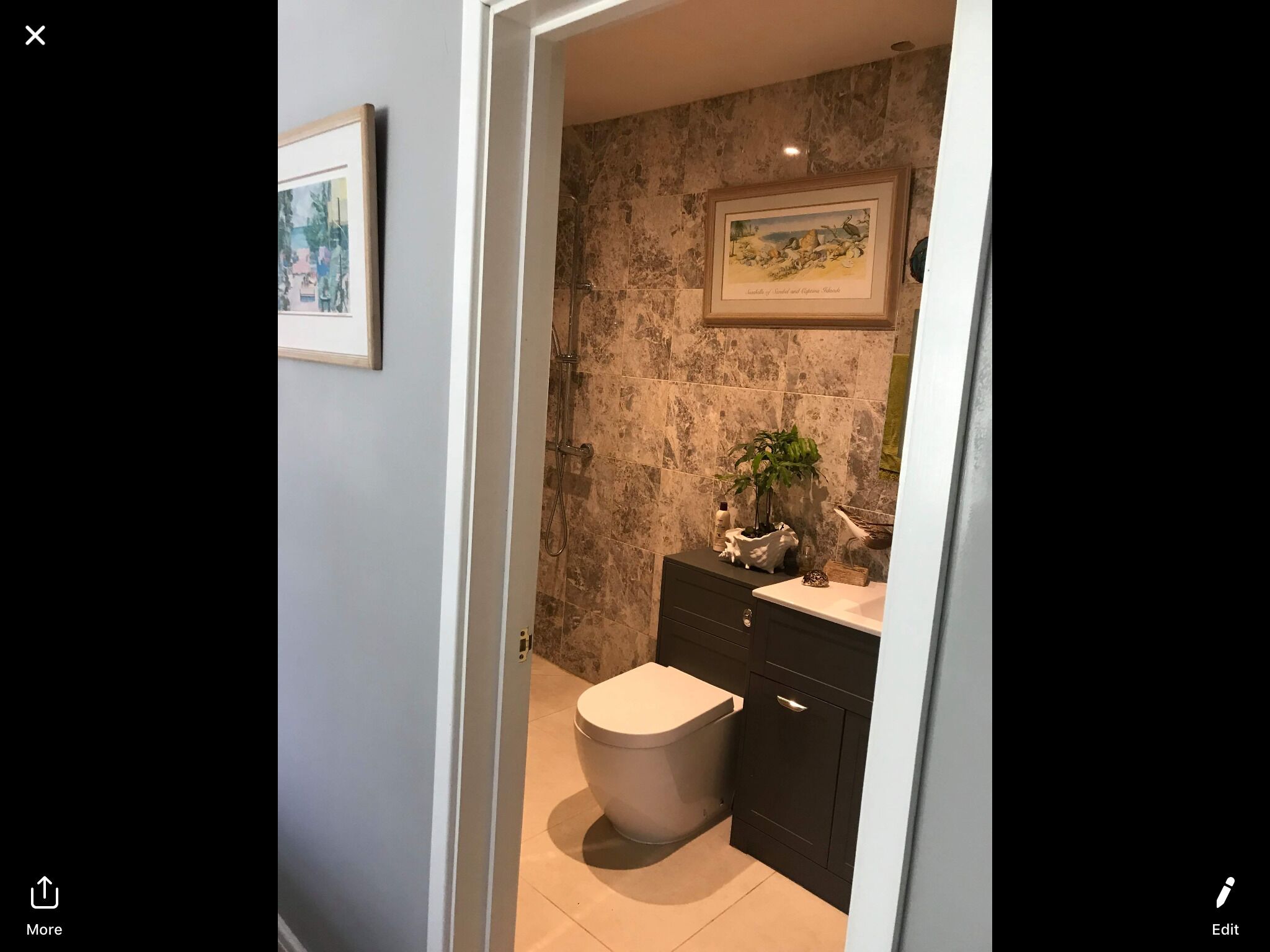A bathroom with a toilet, sink, and shower. There is a framed picture on the wall and a potted plant on the counter.