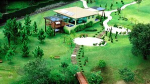 A modern house with a large deck, surrounded by a well-maintained lawn and a variety of trees.