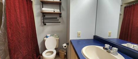 A bathroom with a toilet, a sink, a mirror, and shelves with towels.