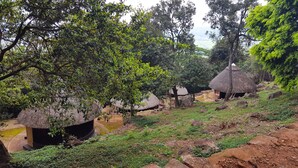 A rural landscape with thatched-roof huts surrounded by lush greenery and a small stream.