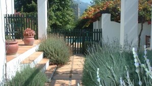 A garden pathway leading to a white building with a black fence and potted plants. - Sunny Lane (Franschhoek)