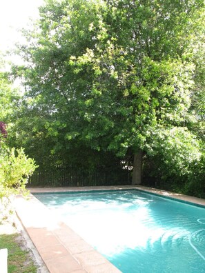 A rectangular swimming pool with clear blue water, surrounded by a tiled deck and lush green trees. - Sunny Lane (Franschhoek)