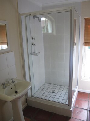 A bathroom with a glass-enclosed shower, a pedestal sink, and a window with blinds. - Sunny Lane (Franschhoek)