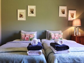 Surmatelas, Wi-Fi gratuit