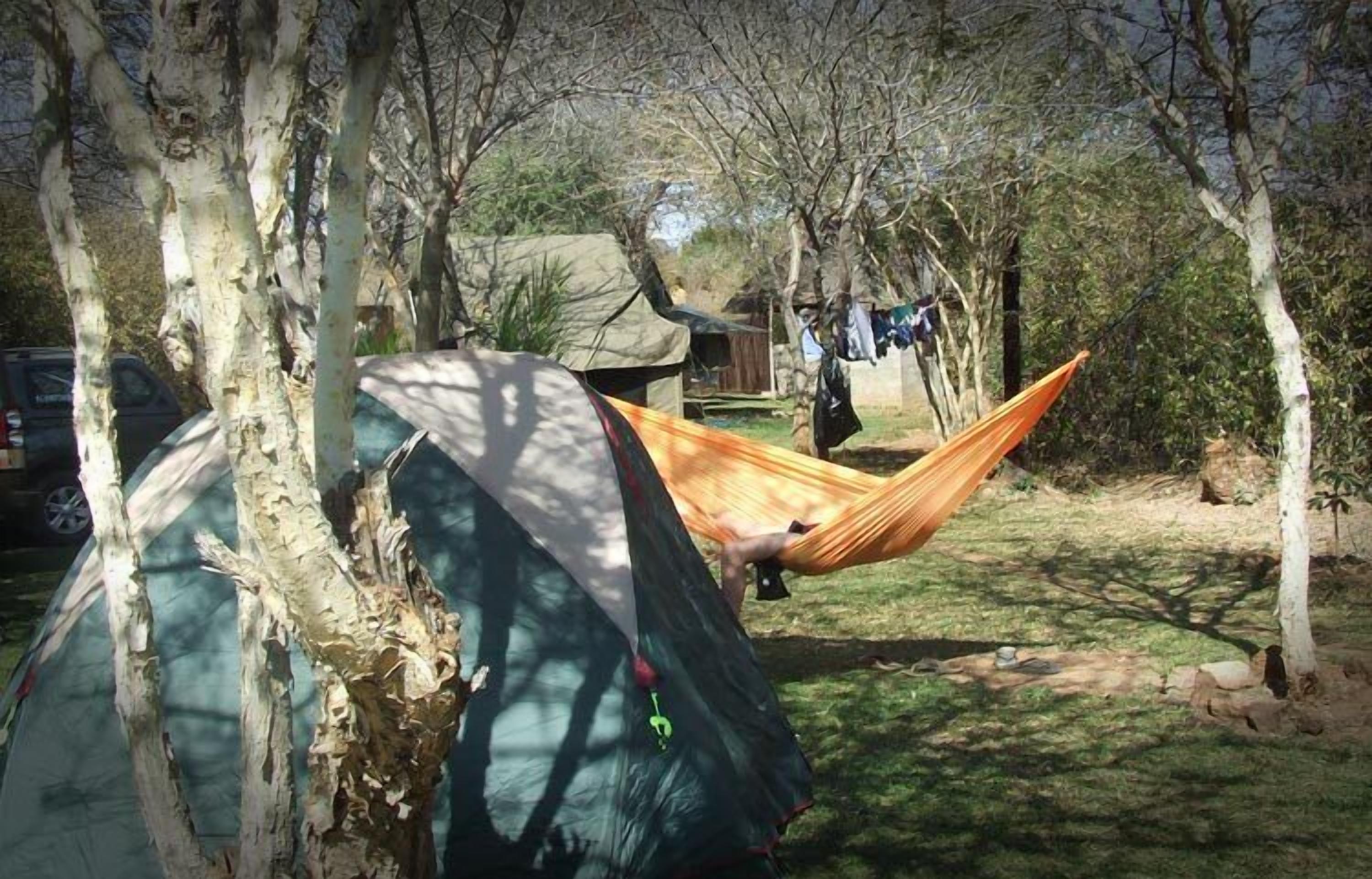A tent set up in a wooded area with a hammock between trees.