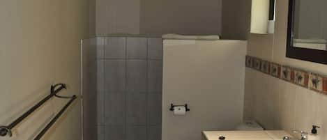 Un baño con ducha, inodoro y lavabo.