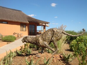 Comfort House, 2 Bedrooms (Babson House Villa) | 2 bedrooms, in-room safe, free WiFi, bed sheets - Babson House @ Cheetah Conservation Fund (Otjiwarongo)