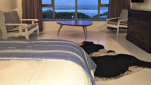 Unclassified image, 3 of 33, button - Surf Inn Cape St Francis (Cape Saint Francis)