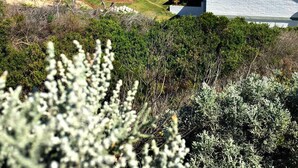Unclassified image, 4 of 33, button - Surf Inn Cape St Francis (Cape Saint Francis)