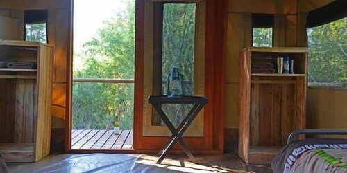 Wild Olive Tree Camp