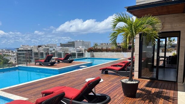 Un espace piscine aménagé sur le toit, avec des chaises longues et un palmier.
