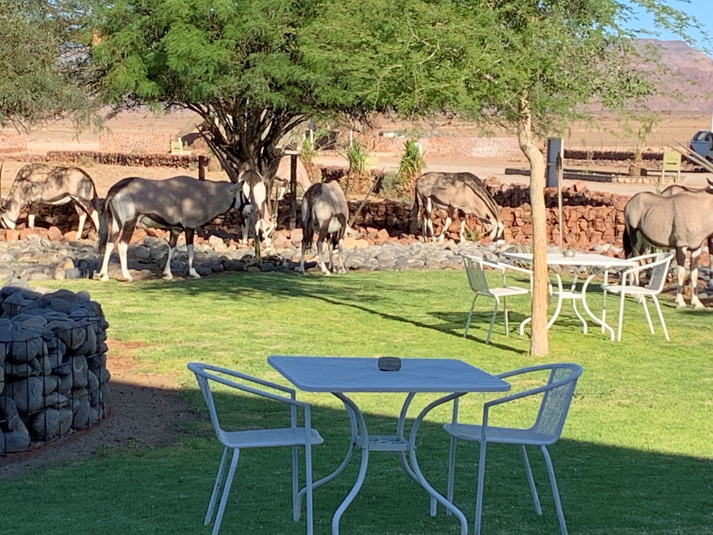 Un espacio al aire libre con césped, un muro de piedra y una mesa y sillas de metal.
