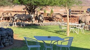 Un espacio al aire libre con césped, un muro de piedra y una mesa y sillas de metal.