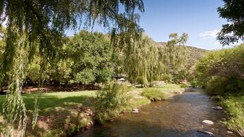 Una piscina al aire libre, una piscina natural