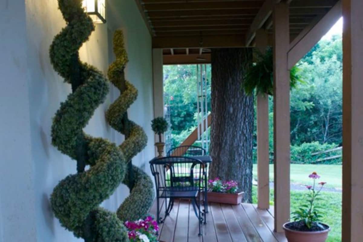 A wooden deck with a spiral topiary, potted plants, and a bench.