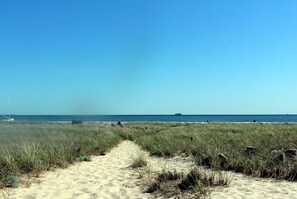 Playa en los alrededores y toallas de playa 