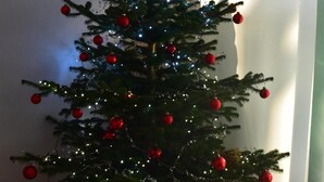 A Christmas tree with red ornaments and lights, placed in a corner with a wooden floor and a white wall. - Apartment/ flat - Colmar (Colmar)