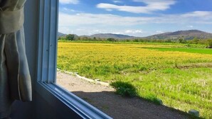 Vista desde una ventana sobre un campo verde, cielo despejado y colinas a lo lejos.