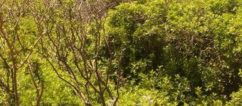 Wonderful view of the sea. Romantic and relaxing place suitable for a couple.