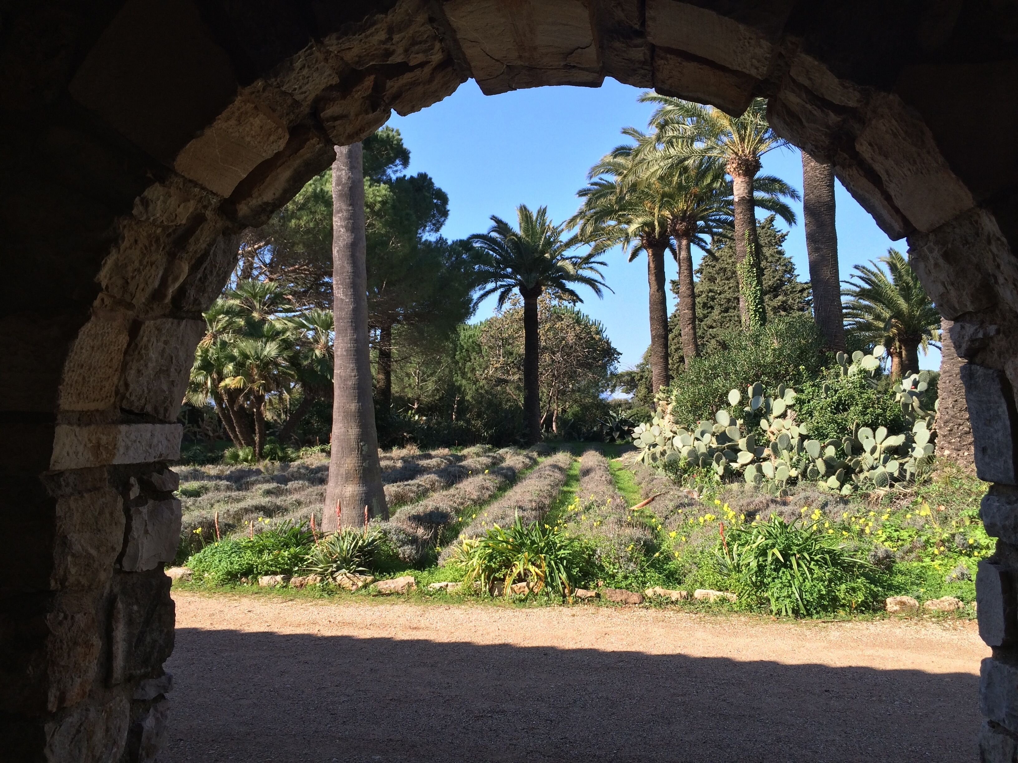 Parco della struttura