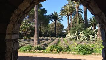 Parco della struttura