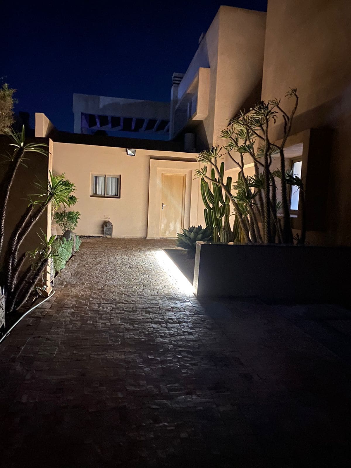 A paved courtyard with a door leading to a building, surrounded by cacti and other plants.