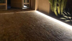 Ein geräumiger Eingangsbereich mit einer Holztür und Glasscheiben, der in einen Raum mit Backsteinböden und einer großen Sukkulante führt.