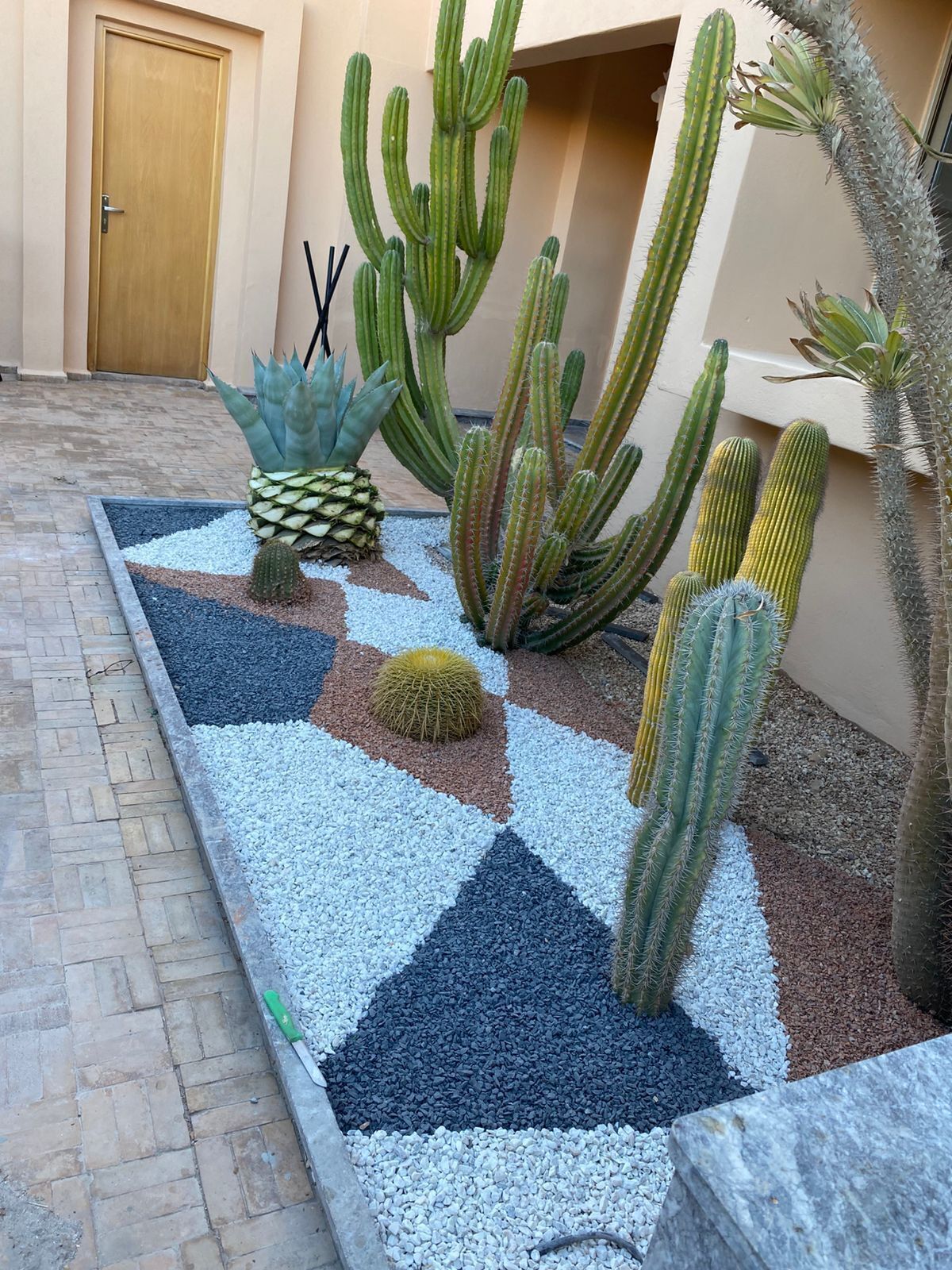 A courtyard with various cacti and a pineapple plant, surrounded by a patterned pebble and gravel ground.