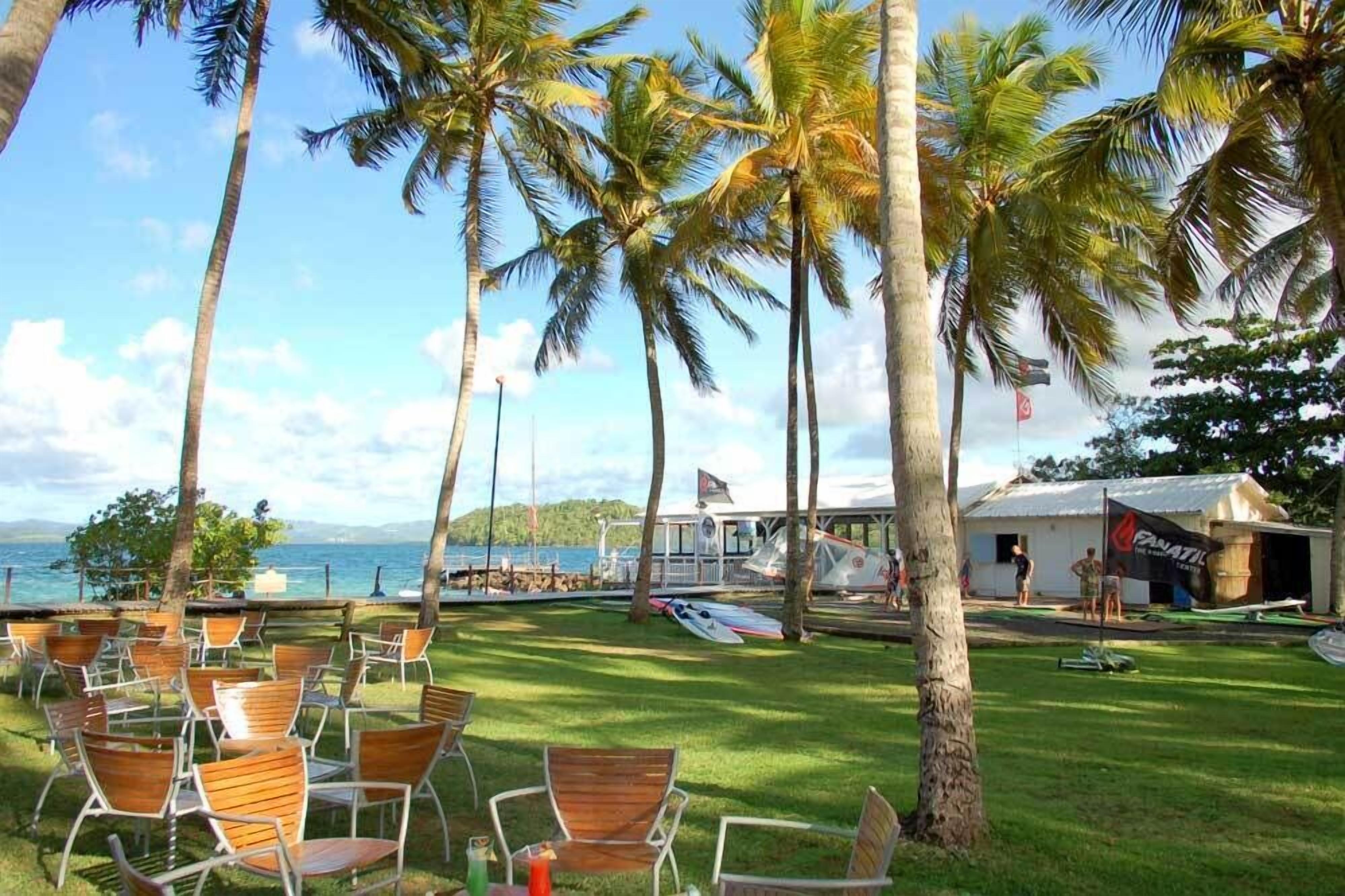A beachside seating area with wooden chairs, palm trees, and a view of the ocean.
