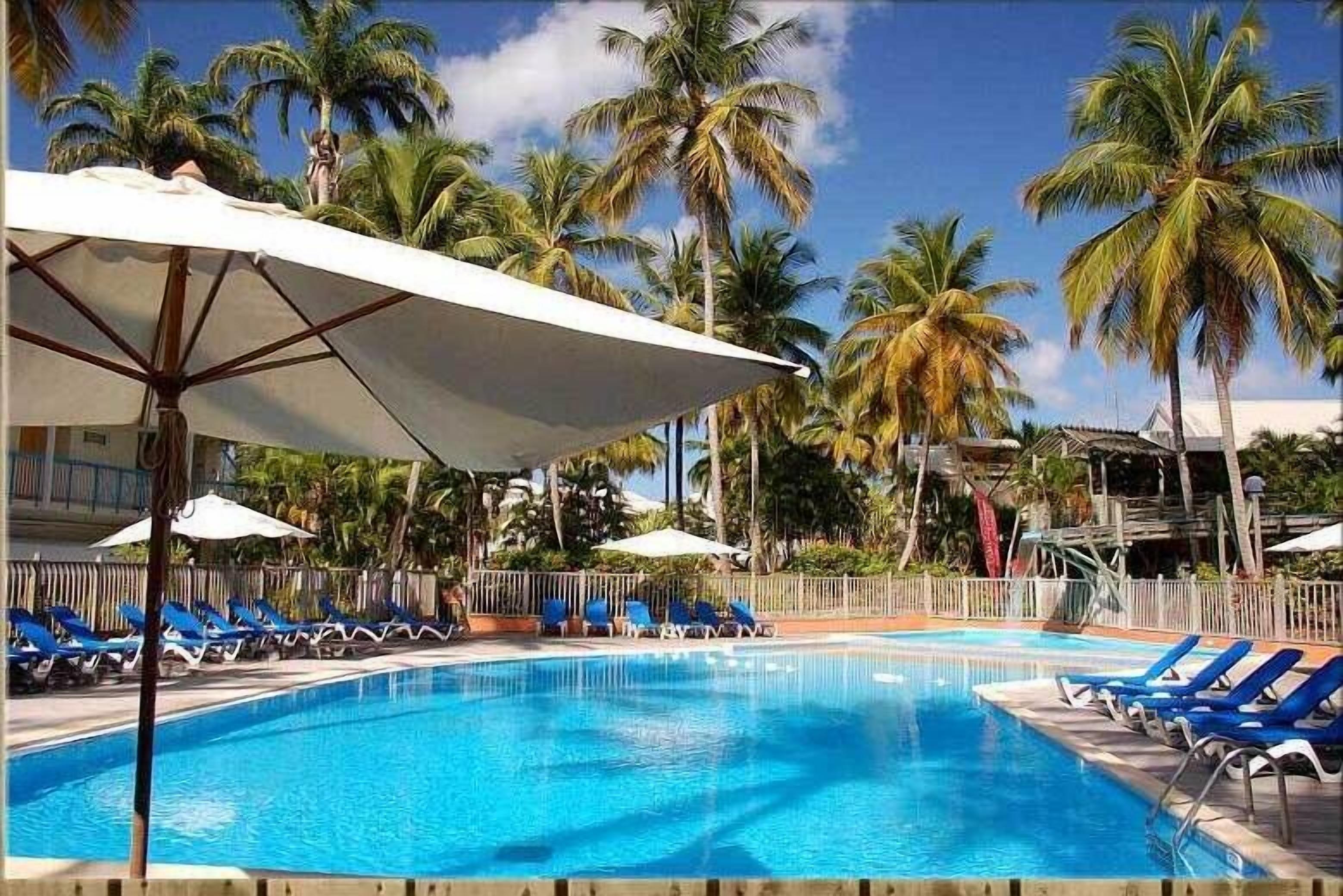 Une piscine à l’eau bleue, entourée de palmiers et de chaises longues bleues.
