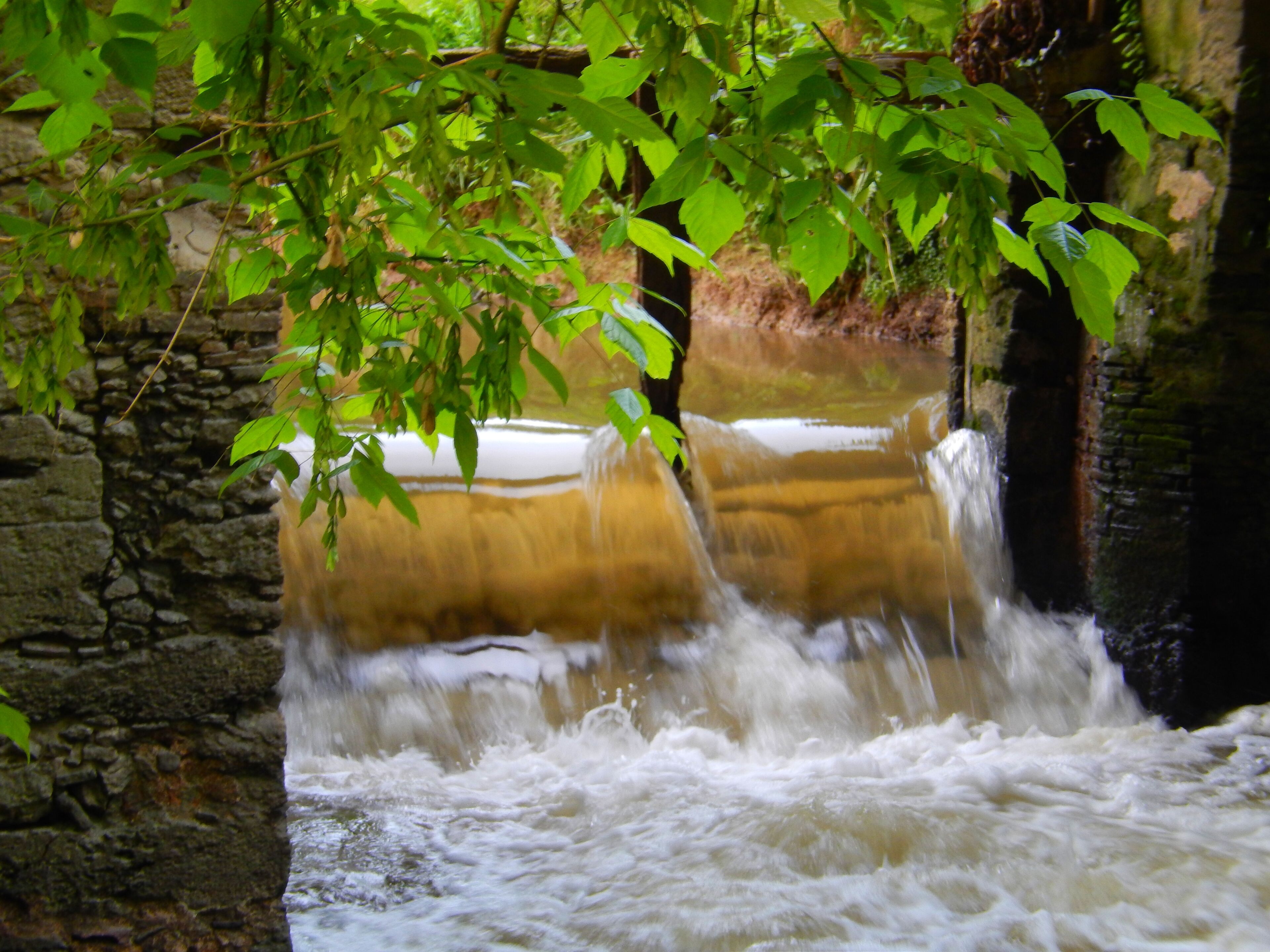 Ein steiner Wasserfall mit fließendem Wasser, umgeben von üppigem Gr ün.