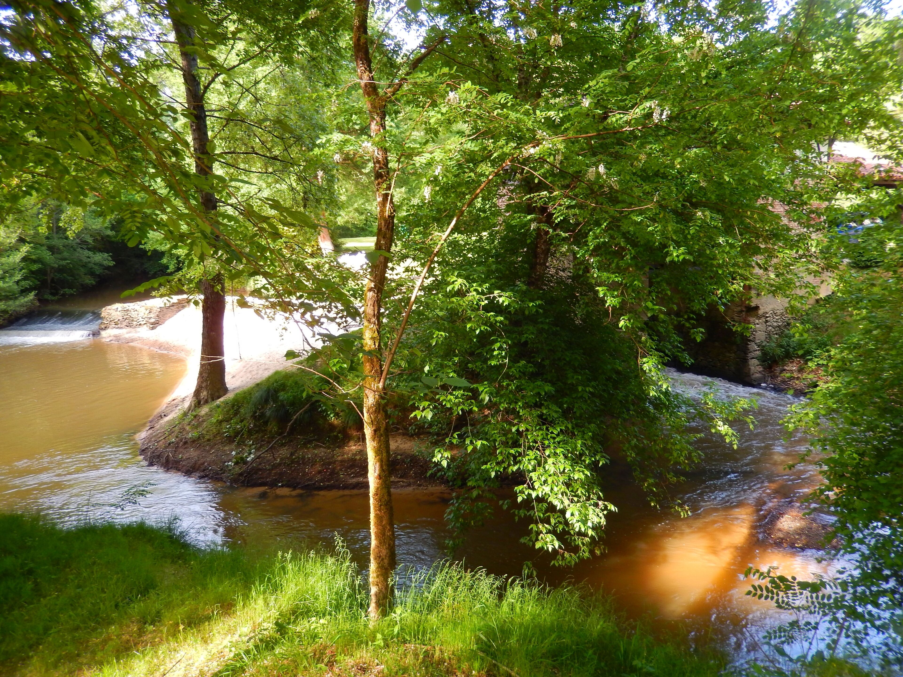 Une rivière qui traverse une zone boisée, avec des arbres et de l’herbe qui bordent ses rives.