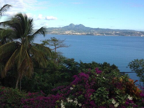 APPARTEMENT 40M2 AVEC VUE MER DES CARAIBES ET TERRASSE