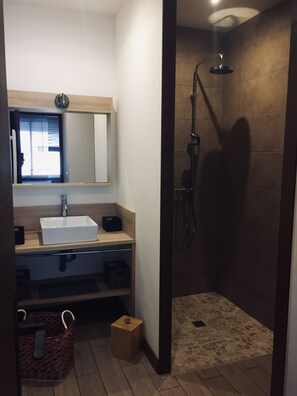 Shower, hair dryer, toilet paper