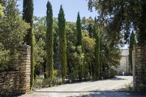 Property grounds - Provencal villa in Bonnieux (Bonnieux)