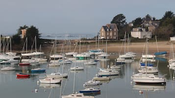 A marina with numerous boats docked.