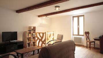 TV, DVD player, books, video library