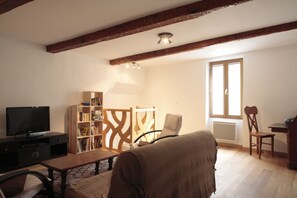 TV, DVD player, books, video library