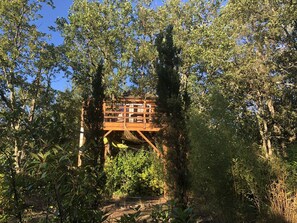 Una torre de madera para observar rodeada de follaje denso.
