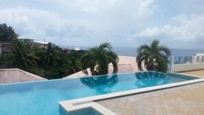 A swimming pool with clear blue water, surrounded by palm trees and a view of the ocean. - F2 Panoramic view sea, mountain and swimming pool view of the residence (Le Carbet)
