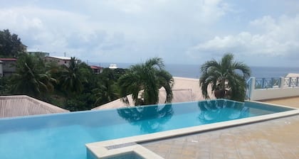 F2 Panoramic view sea, mountain and swimming pool view of the residence