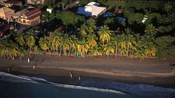 An aerial view of a beach with palm trees and a few buildings in the background. - F2 Panoramic view sea, mountain and swimming pool view of the residence (Le Carbet)