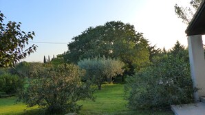A garden with various shrubs and trees, a clear sky, and a building on the right.