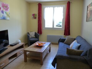 TV connectée, cheminée, lecteur de DVD, livres