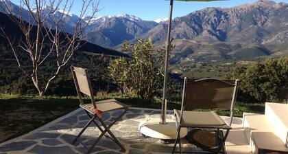 -T2 NEW EAGLE'S NEST