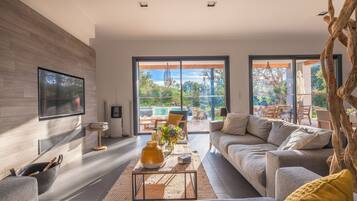 TV, fireplace, video games, DVD player