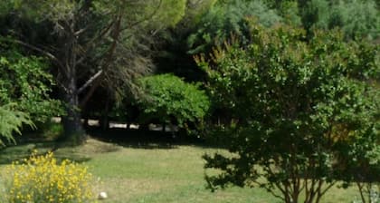 GĂźte 45 m2 3 STARS any comfort design many activities possible