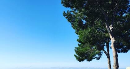 Vista PanorĂąmica e Ănica Para Esta Villa com 6 Quartos e 6 Banheiros