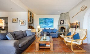 TV, fireplace, DVD player, books