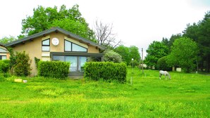 A house with a front yard, a lawn, and a horse grazing.